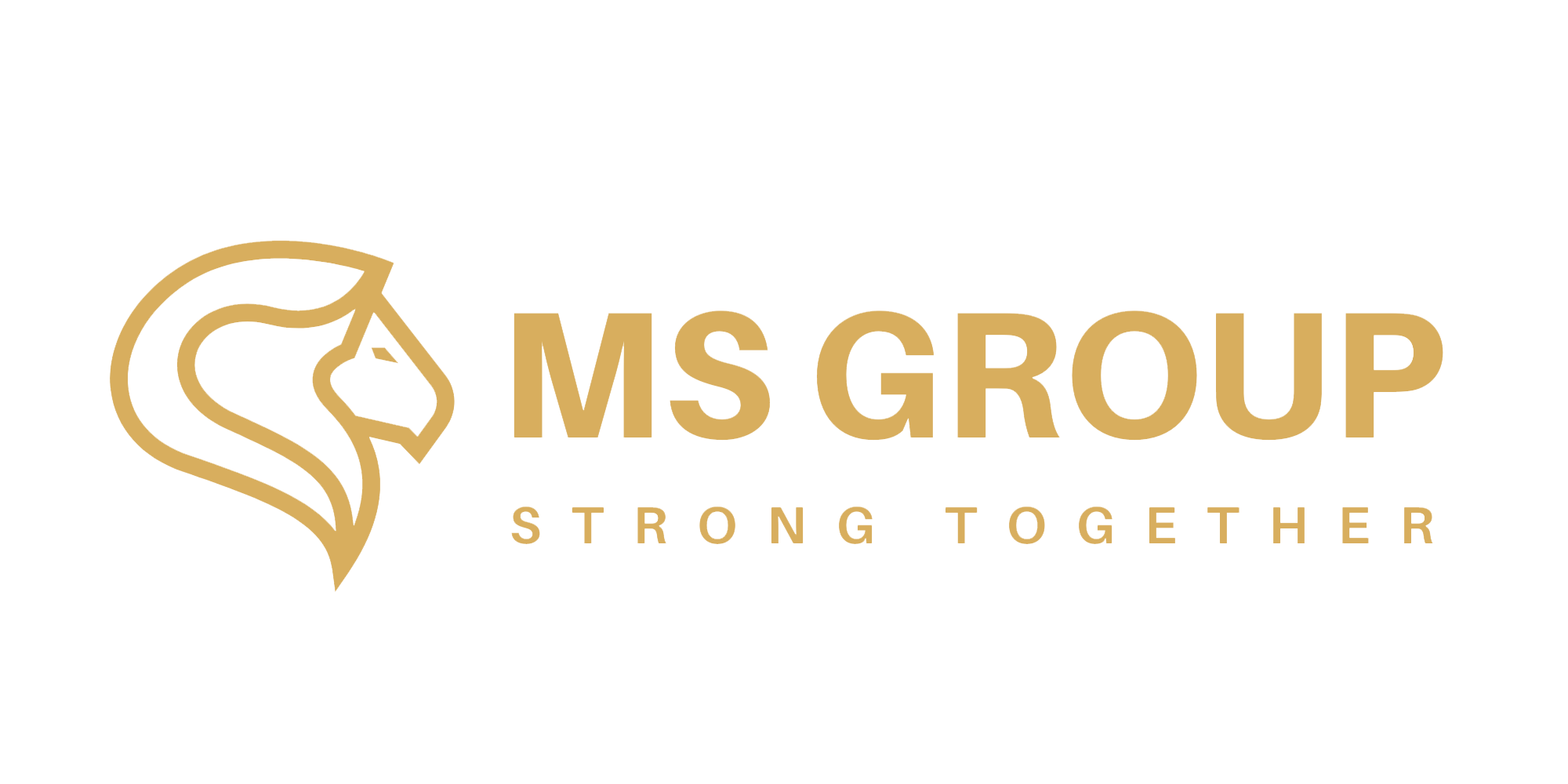 MS Group